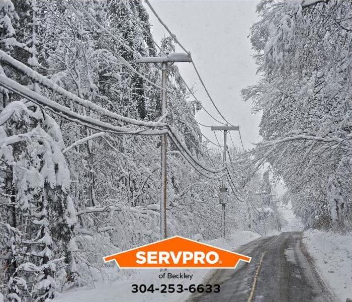 Powerlines are laden with ice and snow.