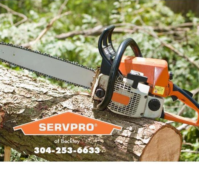 A chainsaw sits on top of a downed tree.