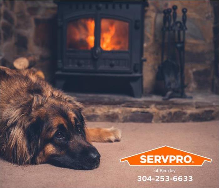 A dog relaxes by a cozy fire.